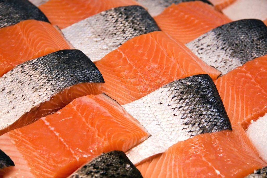 Salmon Fillets